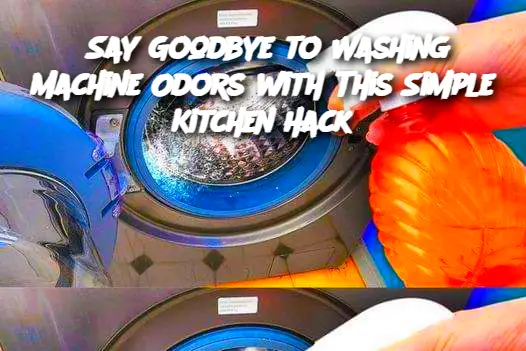 Cropped Image 2024 12 26t180126.549