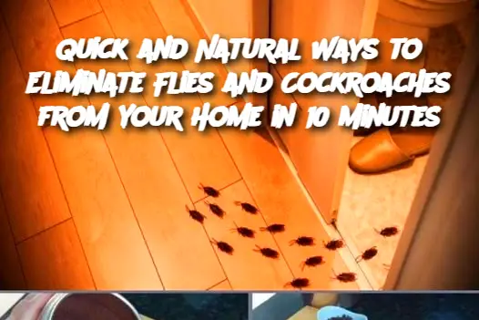 Cropped Image 2025 03 05t223531.815