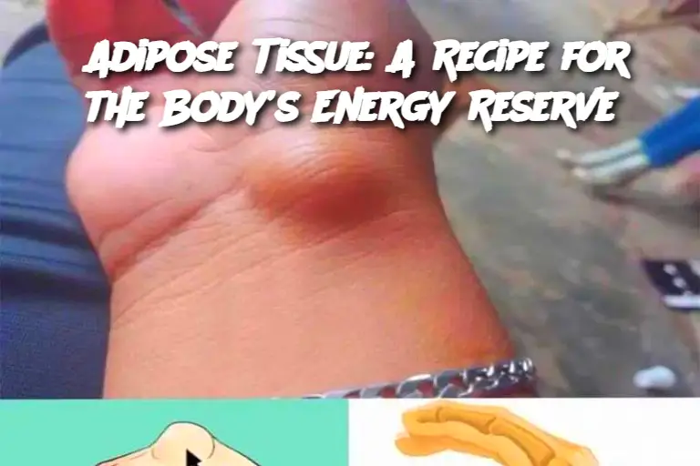 Cropped Image 2025 03 22t173431.913