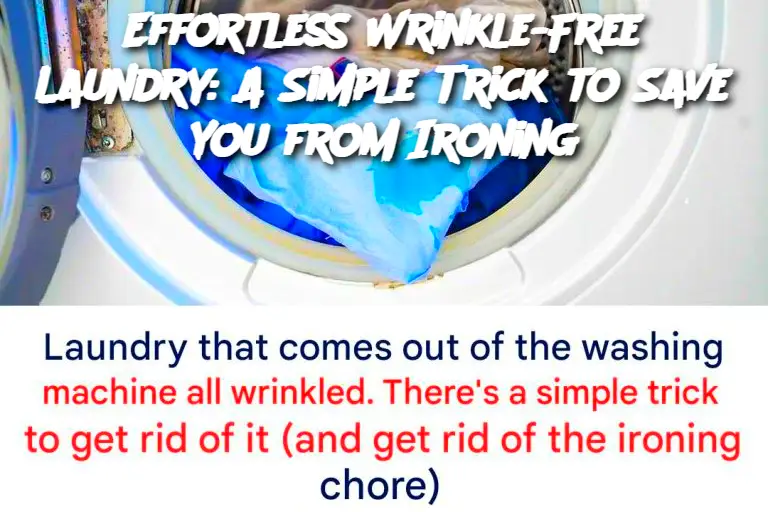Cropped Image 2025 03 26t175115.563