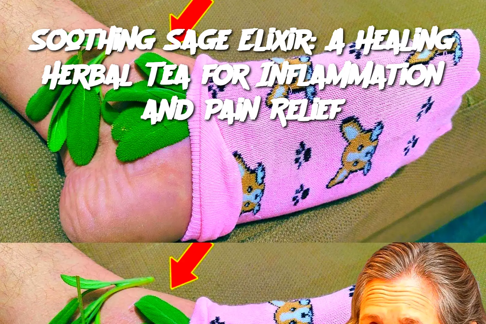 Cropped Image 2025 03 31t183530.086