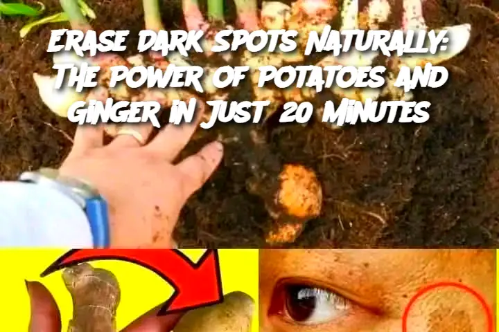 Cropped Image 2025 04 05t163005.806