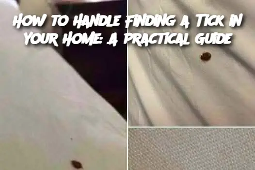 Cropped Image 2025 04 17t191919.613
