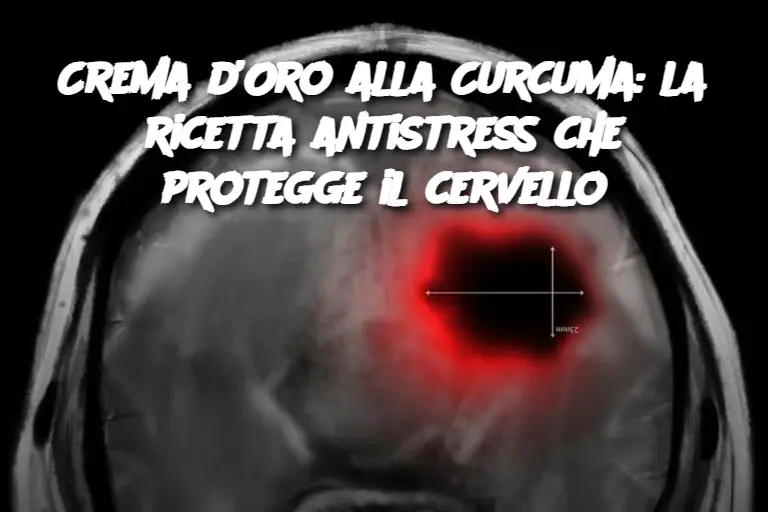 Cropped Image 2025 05 13t123712.577