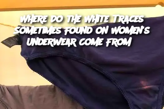 Cropped Image 2025 05 15t113326.701