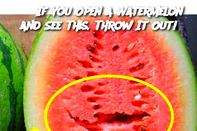 Cropped Image 2025 05 25t125940.806
