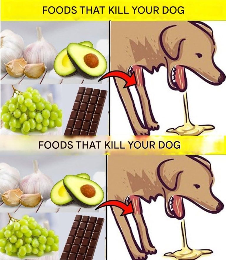 474065968 122163341072331878 6734949334002288496 N 768x885 (1)