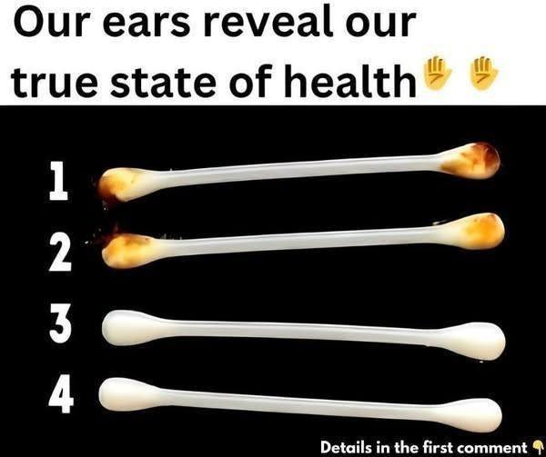 504199433 122141392370663700 3883325713152767408 N