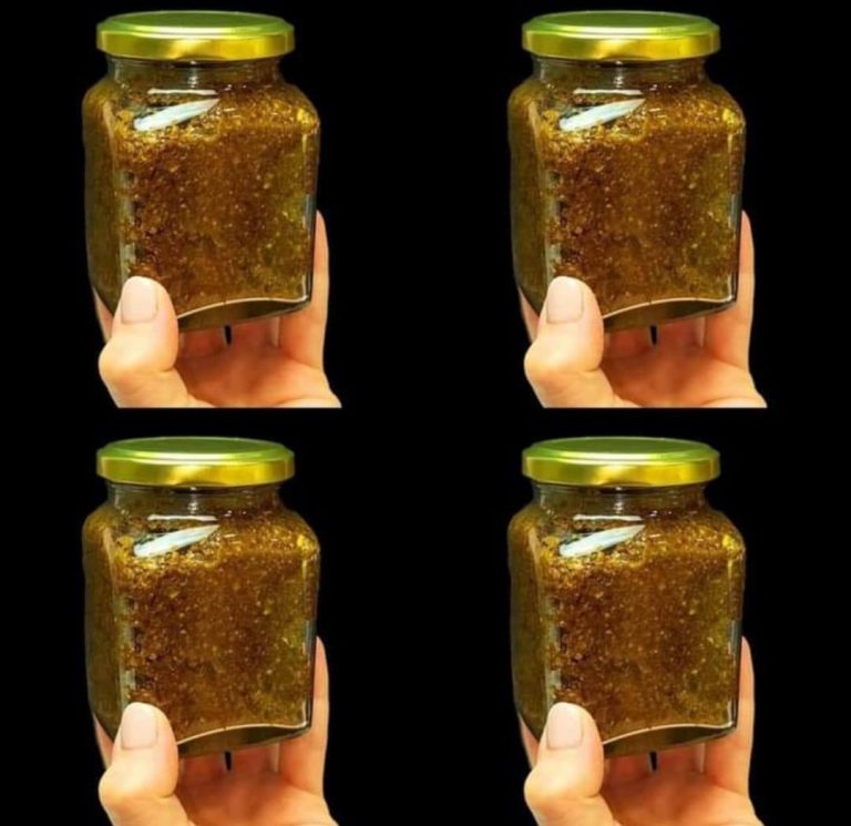 505169863 694113420017219 2313872254257651336 N (1)