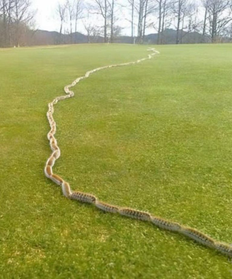 506429627 122141346812683517 5863988749299257747 N
