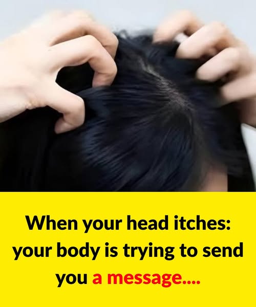 509420445 122219779892153385 542242640426542264 N