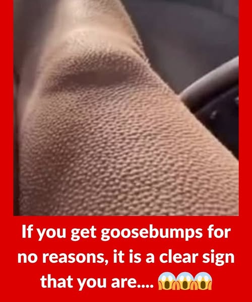 511318824 122221317896153385 3885150753750673024 N