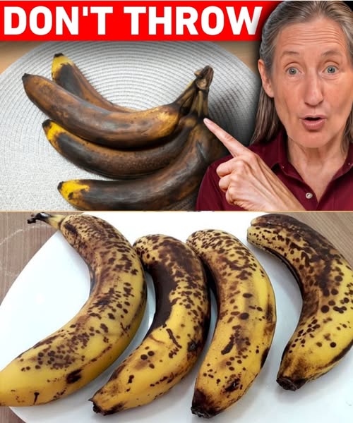 511940084 122220972020153385 987844105112587083 N