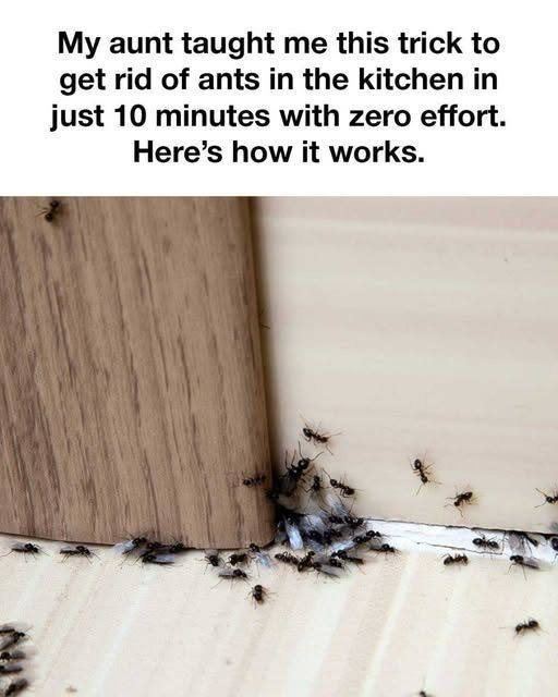 517878291 122140014338800238 8068316552945533555 N