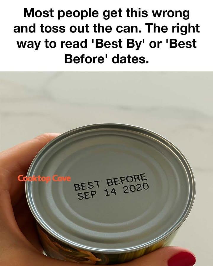 517956700 1176267114541180 6674380329261839925 N
