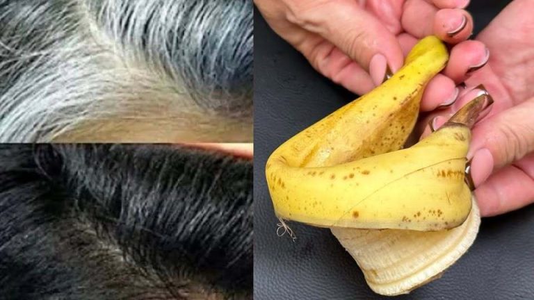 518092333 122236583636217733 20124445495471764 N