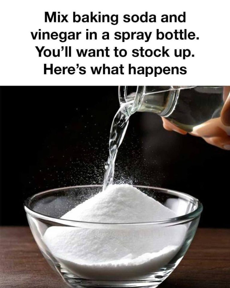 518304088 2097425434080324 7036272497283938048 N