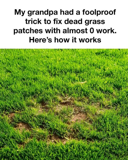 518305290 1534935781226007 8144418695790700413 N