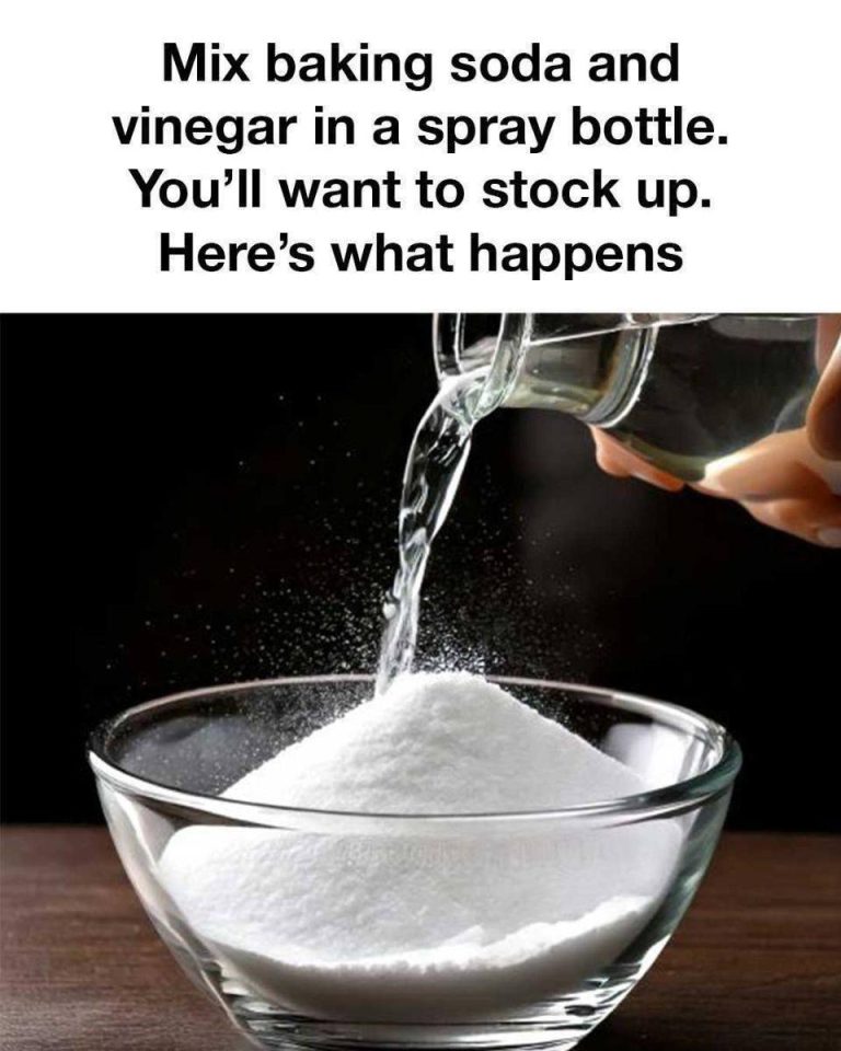 518314523 3686300668330541 8470212620457588552 N