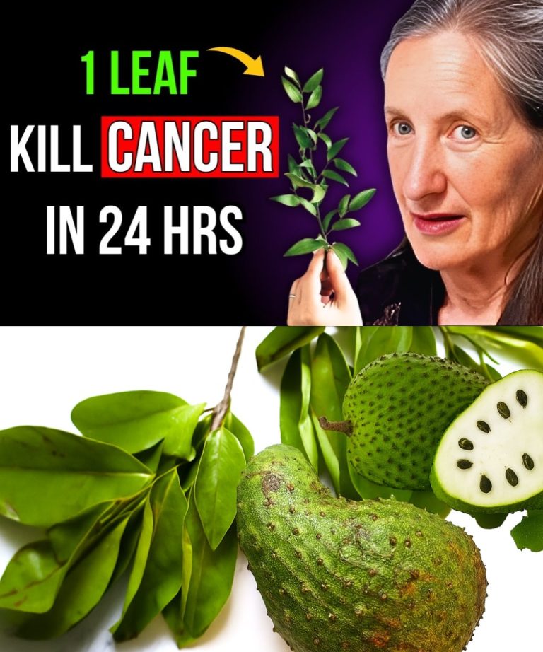 518340398 717839547896163 6294408553207472124 N