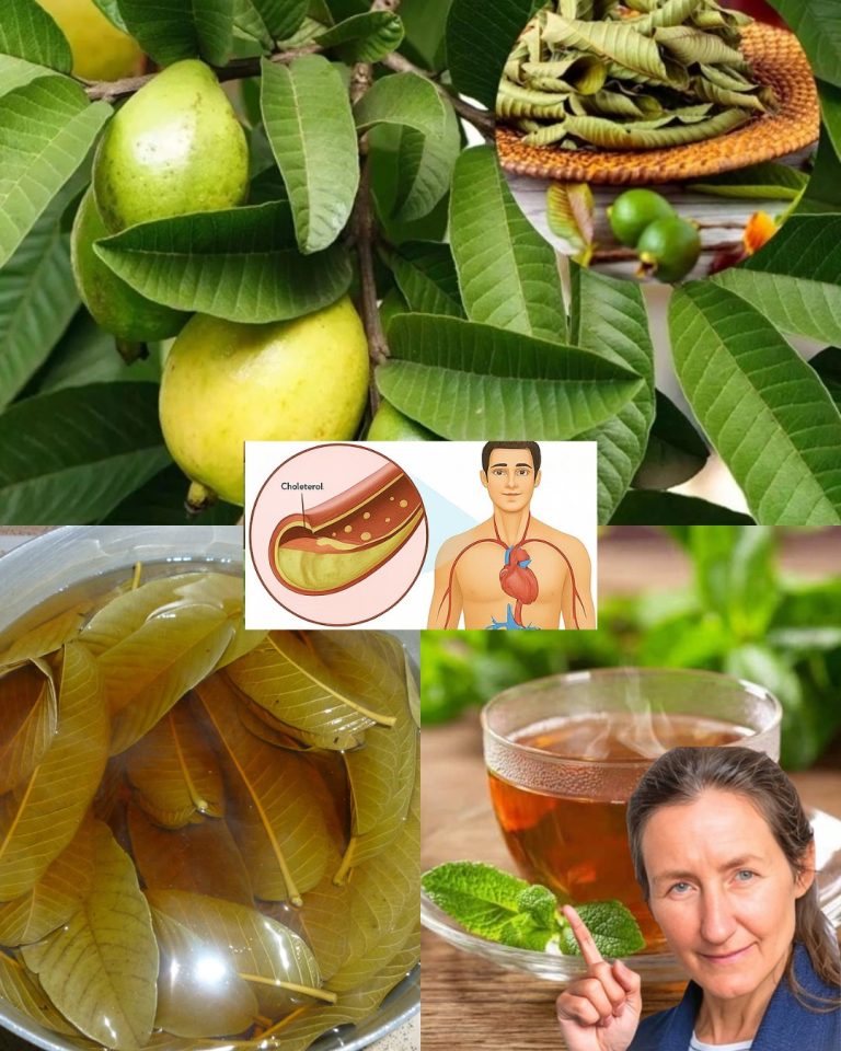 518342683 719280711085380 7359112504917464837 N