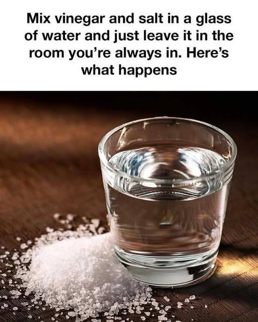 524180270 1097303892308734 4537231233509523233 N