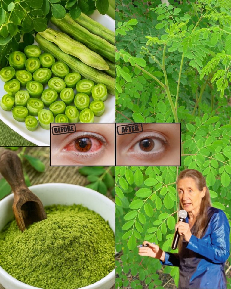524700353 731091686570949 2223921819881925925 N