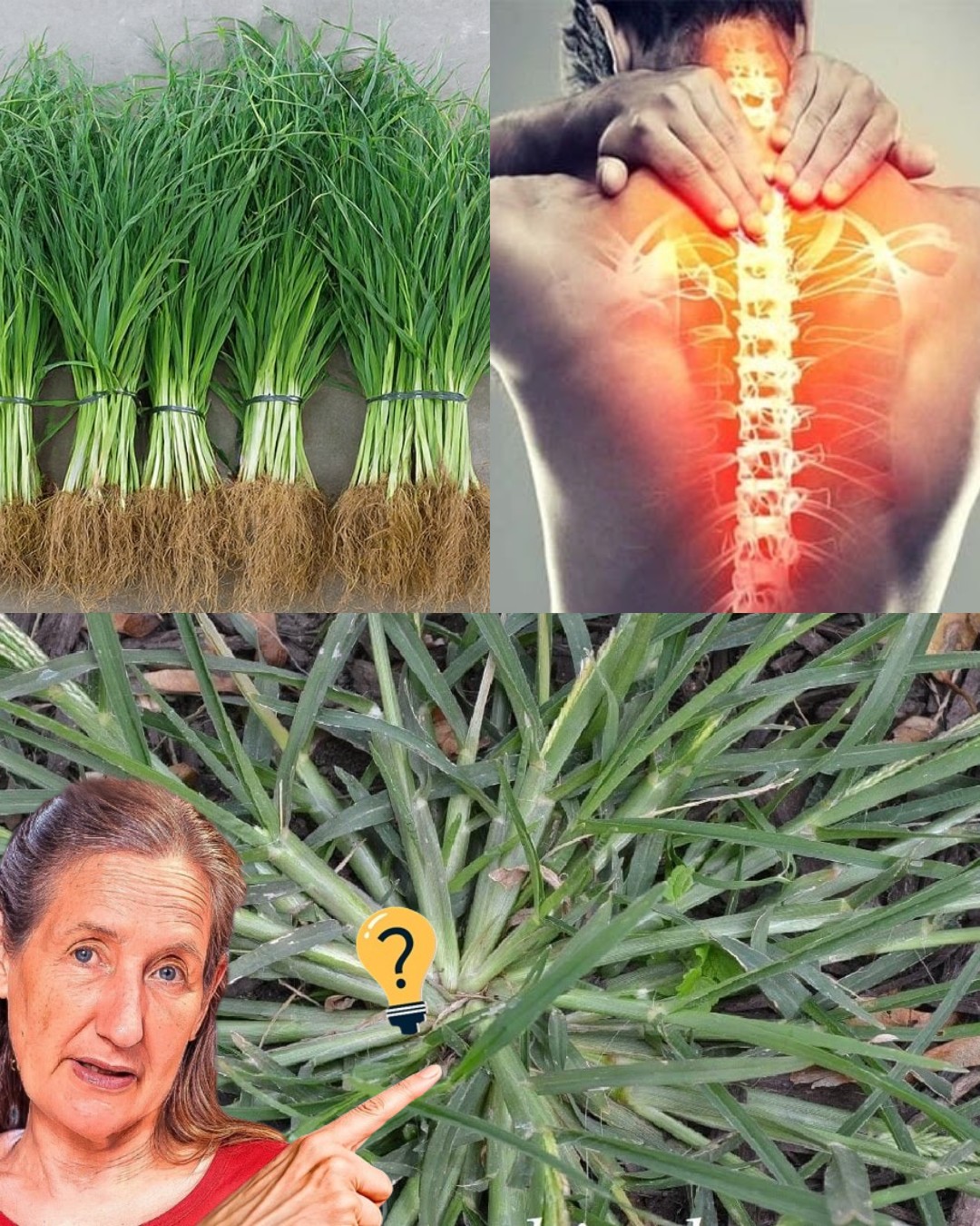 527357160 734555632891221 5922004936096792657 N