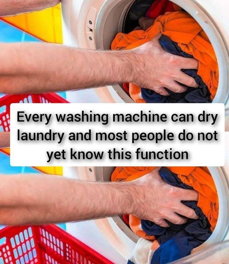 528151259 2210966296089779 5909137210371679557 N