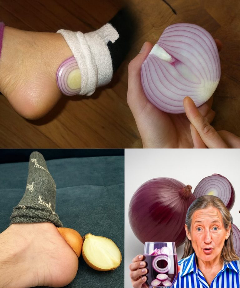 528324941 735357469477704 998404985820304720 N