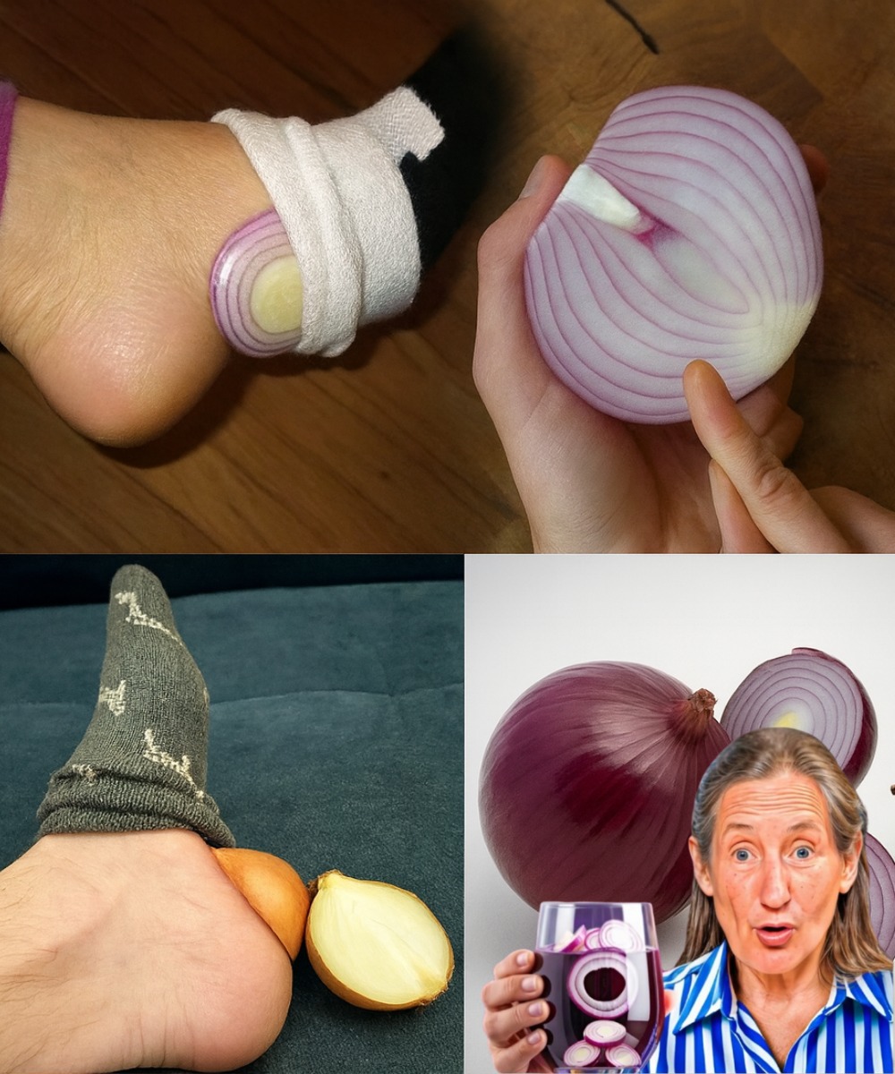 528324941 735357469477704 998404985820304720 N
