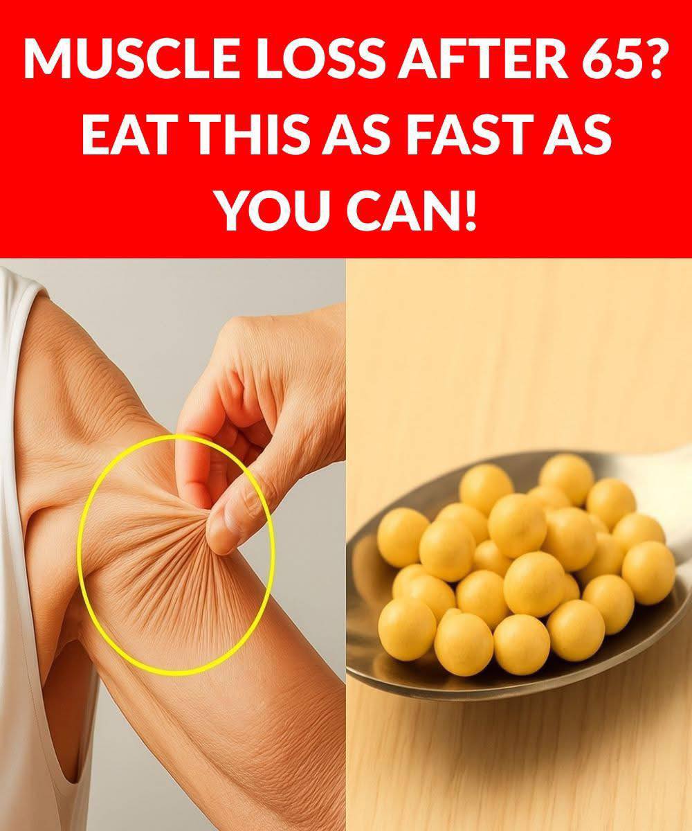 529827209 730319349976961 2581154767712350392 N