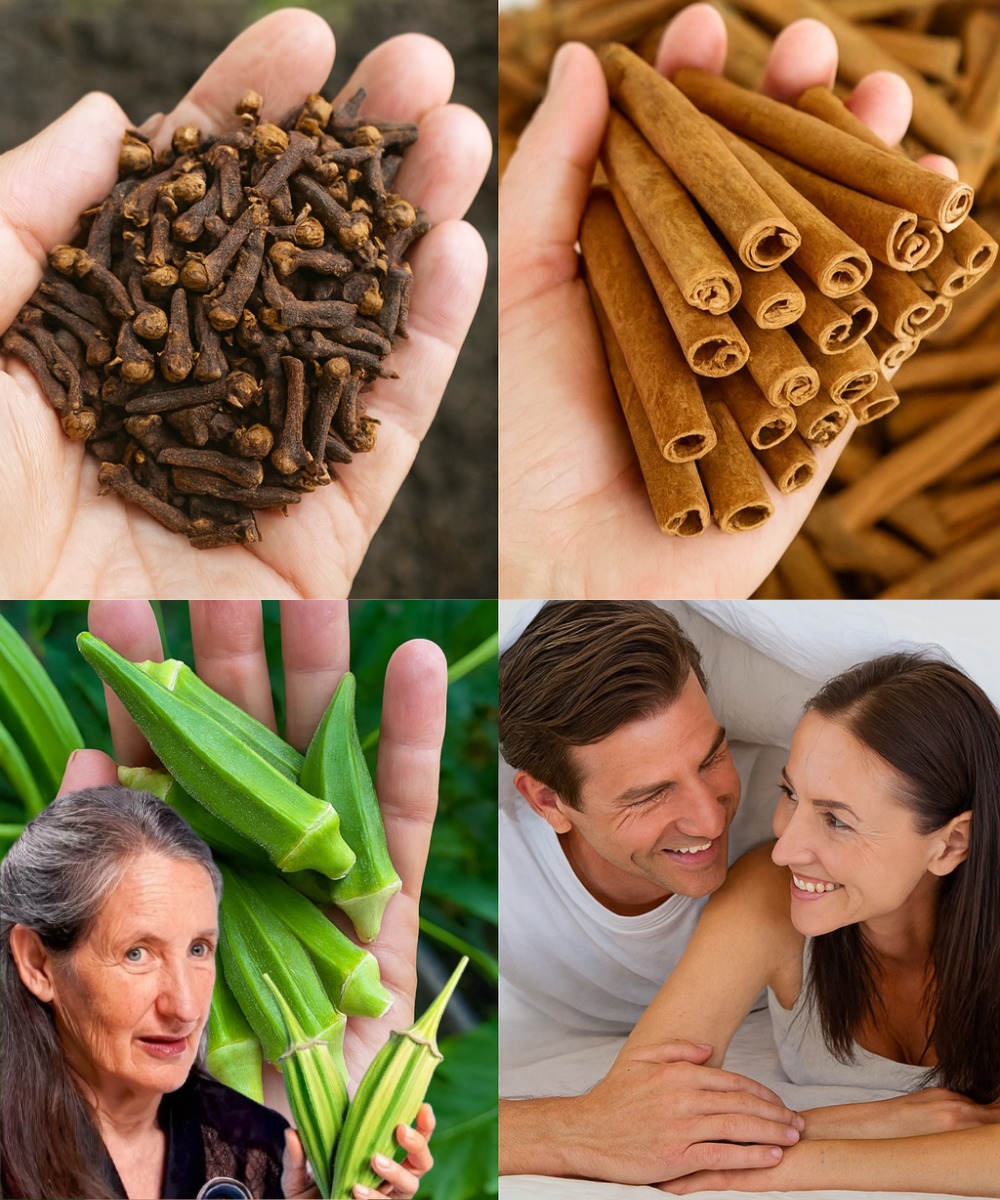 531963962 740316798981771 1218606275646459433 N