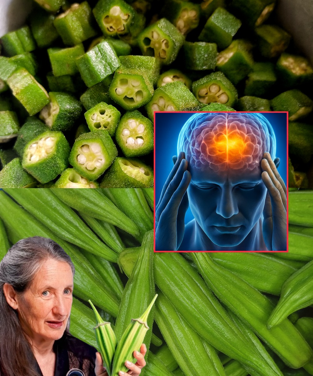 532331266 741220442224740 4939507784141856670 N