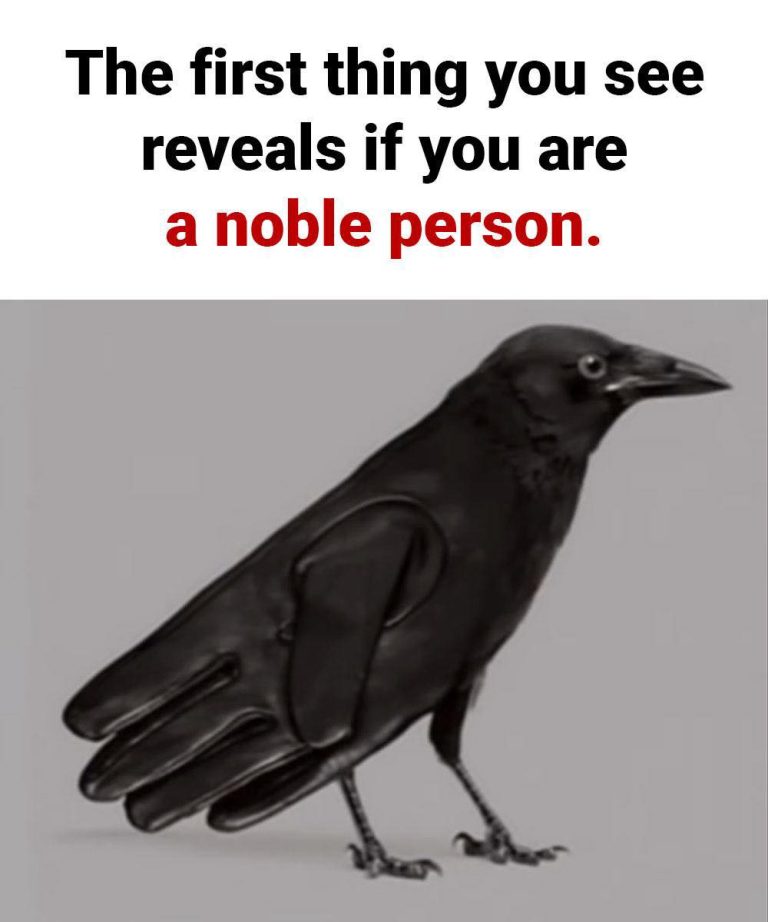 533479903 735464132795816 4535213314271323477 N