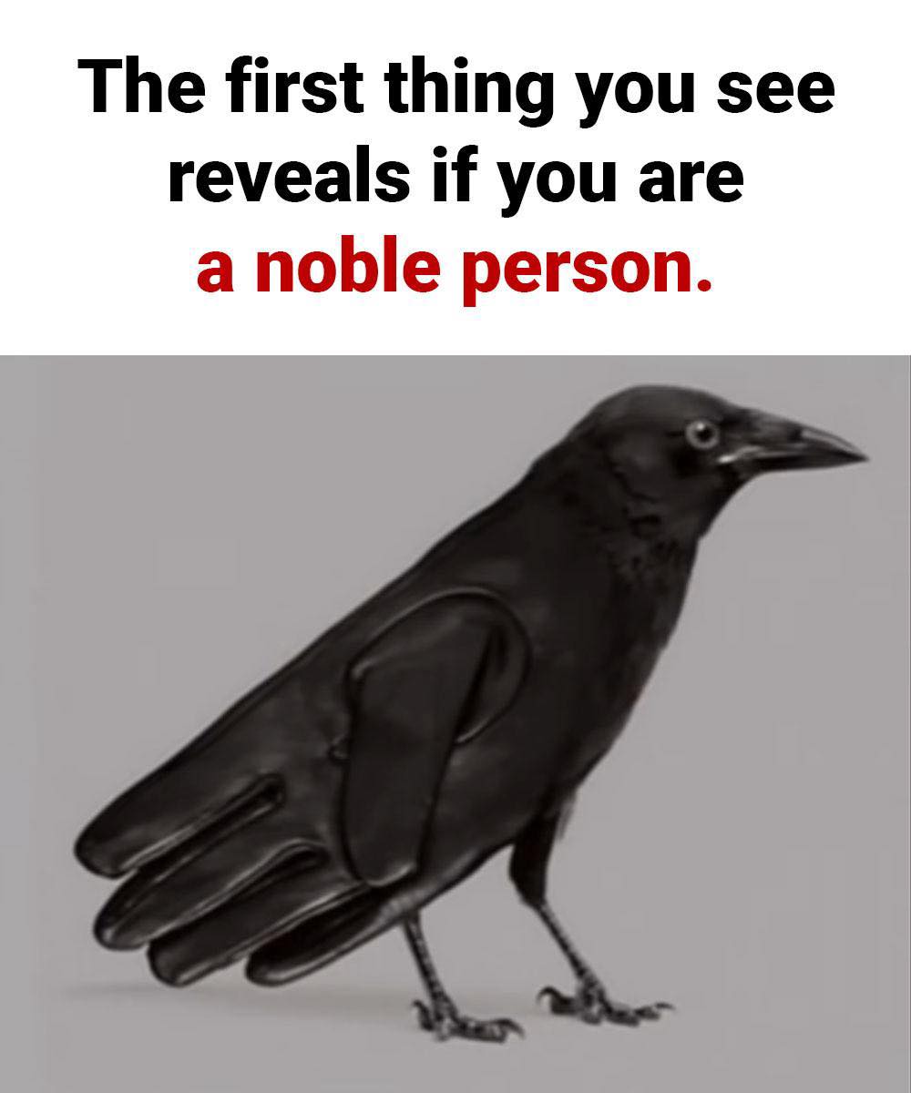 533479903 735464132795816 4535213314271323477 N