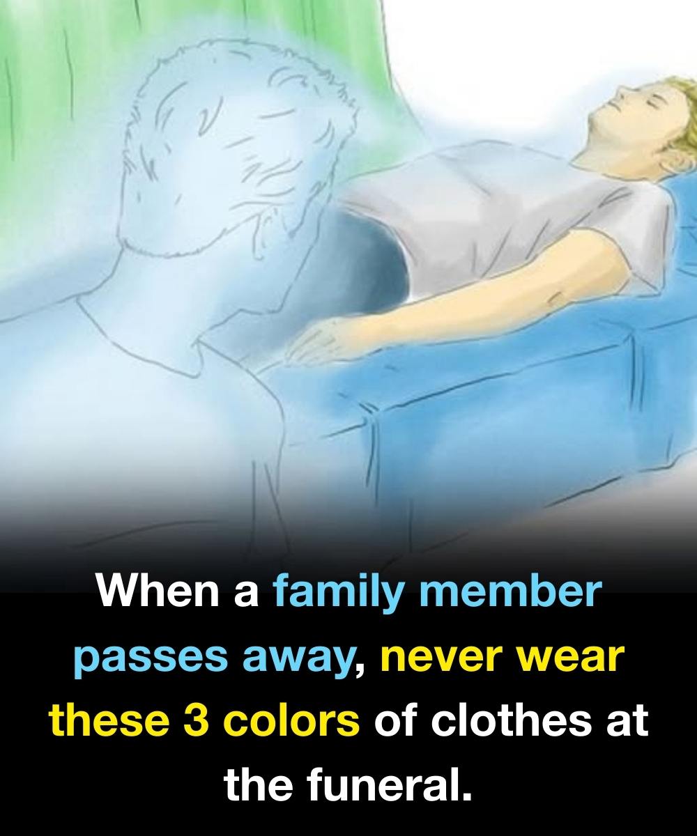 538779209 742887825386780 3469446044956896743 N