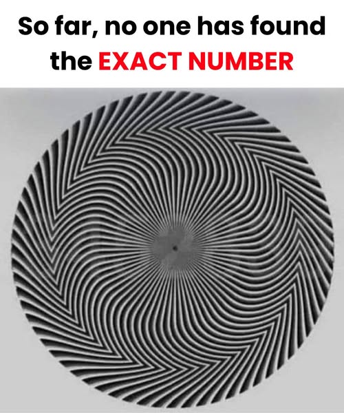 545577829 755900497418846 5120354857415466749 N