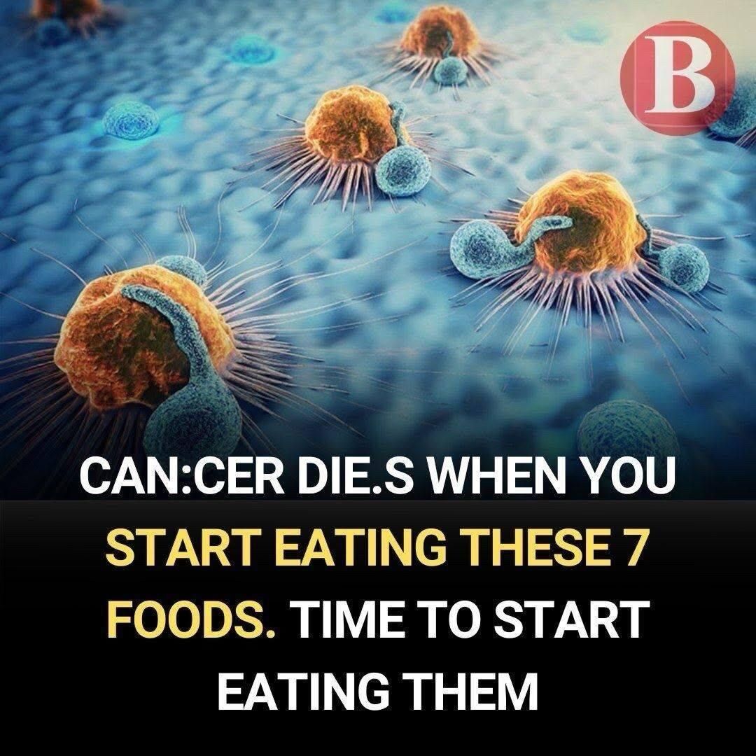 547229564 755382970803932 3314332031032750433 N