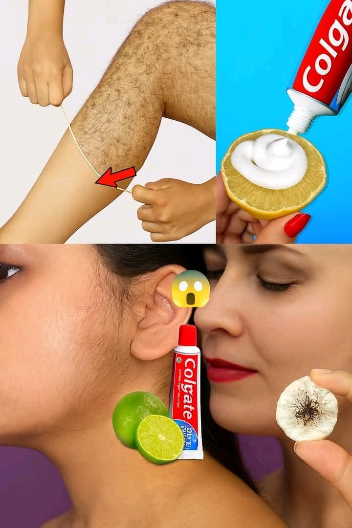 550453860 1343399970675452 2946453087322200934 N