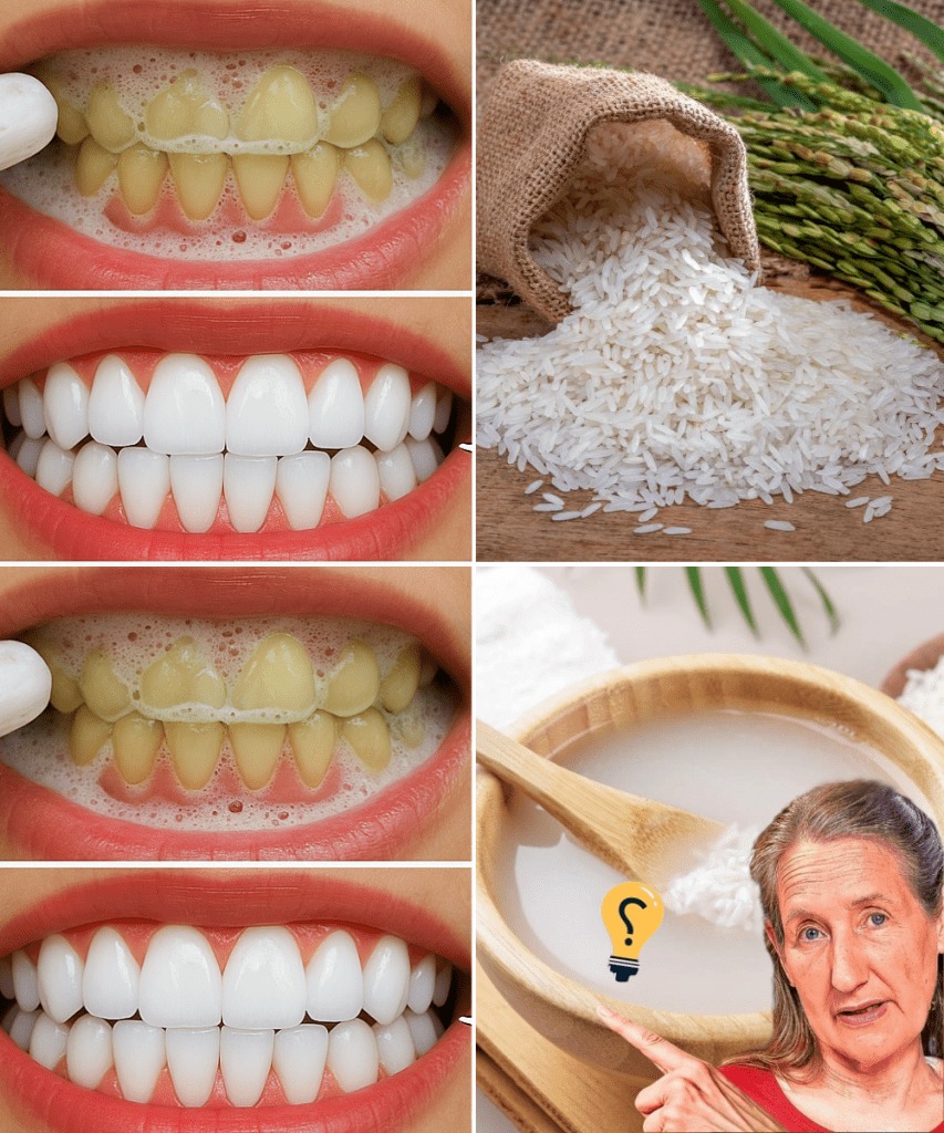 554826140 816156467593468 3043986566972960923 N