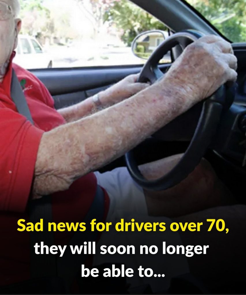 556581294 1547564600019808 1784891443306647601 N