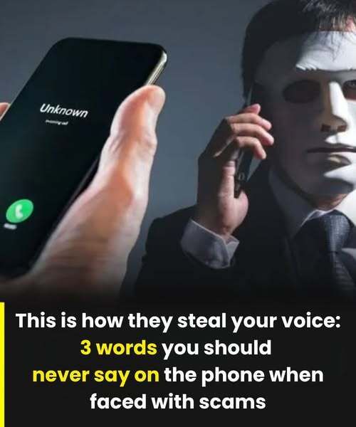 565123724 788263334182562 1023426429879951322 N