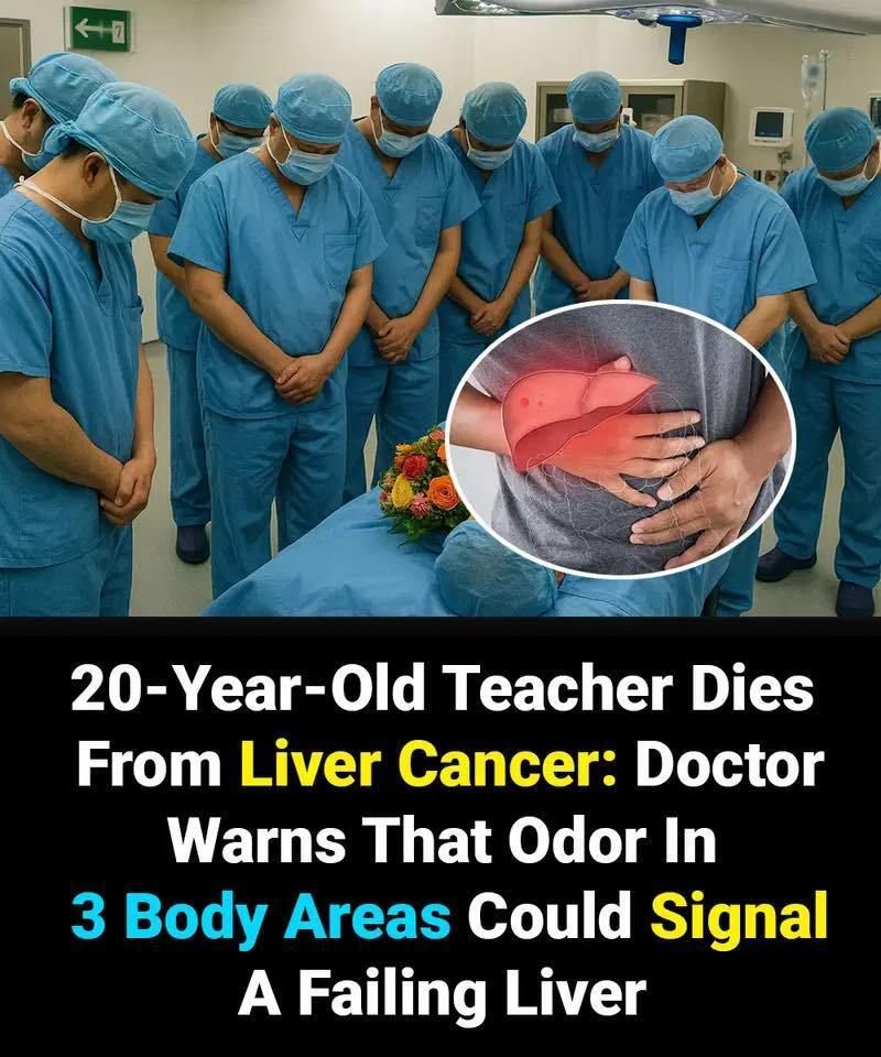 566294627 790730347269194 4406130479336346946 N