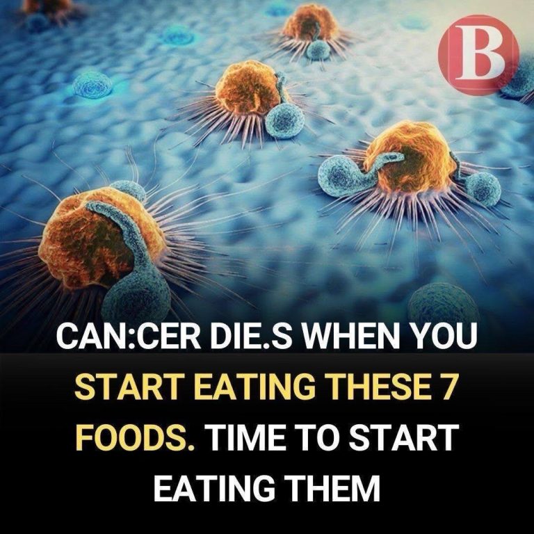 571131849 792317150443847 2031323351674200266 N